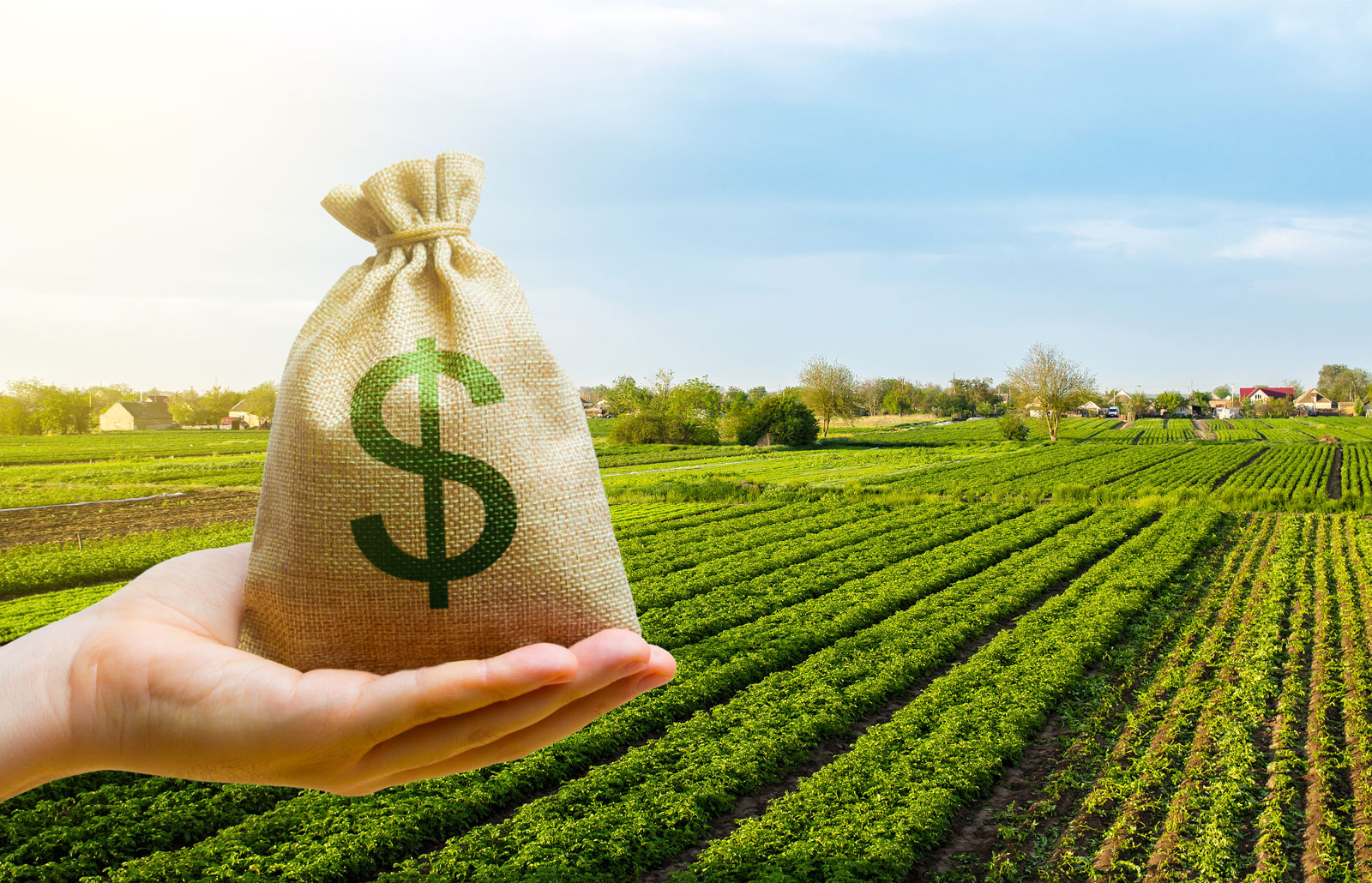 Fundo de Investimento em Cadeias Agroindustriais (Fiagro): conheça essa nova alternativa de investimento!